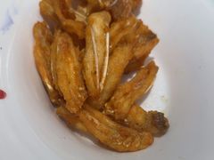 -港升鱼师傅·中山脆肉鲩