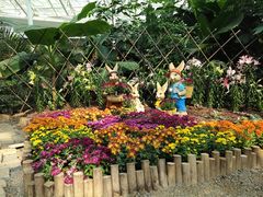 -石家庄市植物园