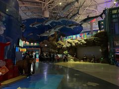 -烟台海昌鲸鲨海洋公园