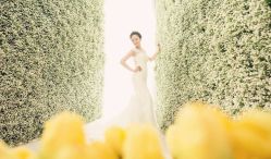 点击看大图 叶氏婚纱摄影YEH'S PHOTO(宝山旗舰店)-格莱美国际影像馆(盛世芳华店)