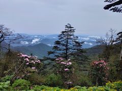 -峨眉山风景名胜区