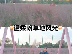 -沈阳植物园