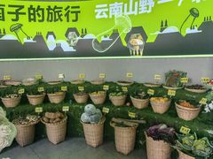 -花菇朵 ll 野生菌锅·精品滇菜(后沙峪店)