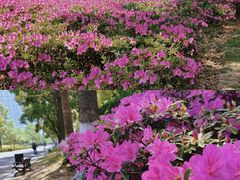 -钟山体育运动公园