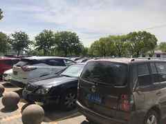 -共青国家森林公园-南大门停车场