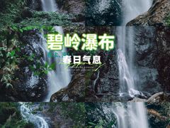 -马峦山郊野公园