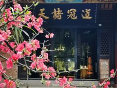 -青羊宫
