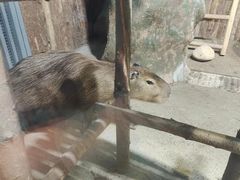 -大连圣亚海洋世界