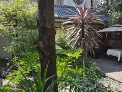 -往来·竹里.宝宝宴.生日宴.团建.宴席(花乡农居店)