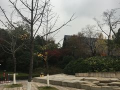 -美丽洲堂