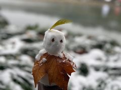 -北山街历史文化街区