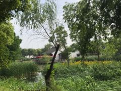 -尚贤河湿地