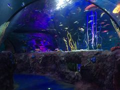 -沈阳海洋探索中心