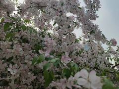 -元大都城垣遗址公园