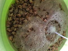 -蚝乡农庄(铁涌赤岸店)