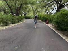 -北陵公园