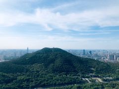-佛慧山