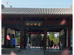 -莲湖公园