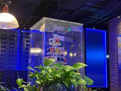 -blue frog蓝蛙(长泰广场店)