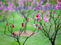 -小草房川菜馆(华茂街店)