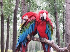 -北京野生动物园