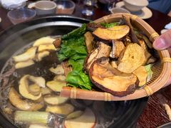 -滇野云南野生菌餐厅(陕西南路店)