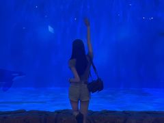 -华夏文旅海洋公园