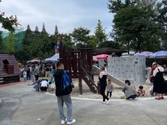 -成飞公园