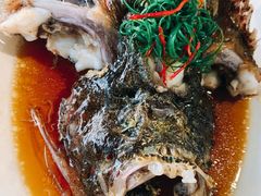 石头鱼-海盗餐厅