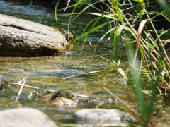 -碓臼峪自然风景区