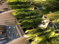 -三个椰子·现砍椰子鸡(金源CBD店)