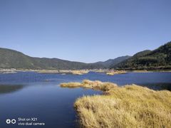 -腾冲北海湿地