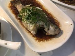 -云中小雅