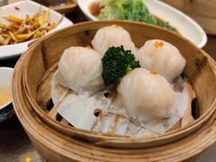 -岭南小生·粤港点心(南门口店)