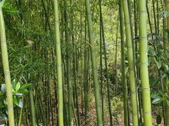 -天目湖涵田度假村