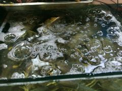 -班赞海鲜市场