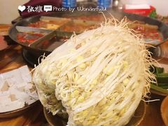 溶洞豆芽-独雅老火锅(原宏声巷店)