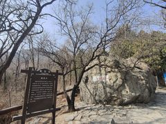 -阳台山自然风景区
