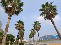 -金沙湖公园
