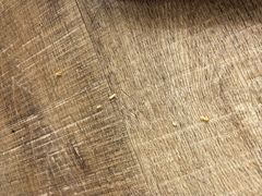 -三亚亚龙湾万豪度假酒店