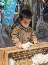 -酷嗒动物文化乐园(cutezoo西溪乐天城店)