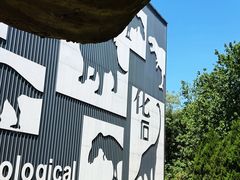 -诸城市恐龙博物馆