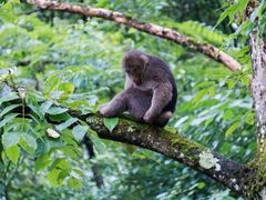 -西岭雪山大飞水景区