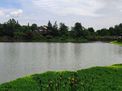 -桤木河湿地公园