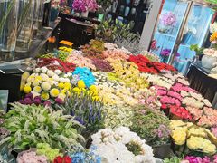 -双季花艺园艺市场(浦东店)