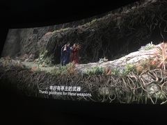 -大光明新国际影城(青浦吾悦店)