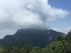 -王顺山国家森林公园