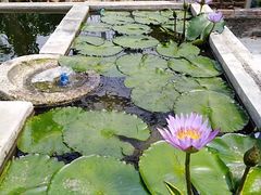 -长洲岛