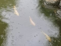 -中山詹园