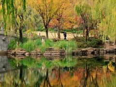 -上海海湾国家森林公园